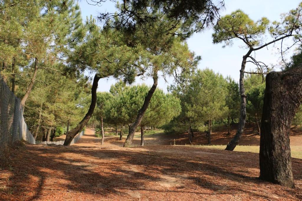 Vaimiti, Cabane Cosy Sous Les Pins Saint-Brevin-les-Pins Exterior foto